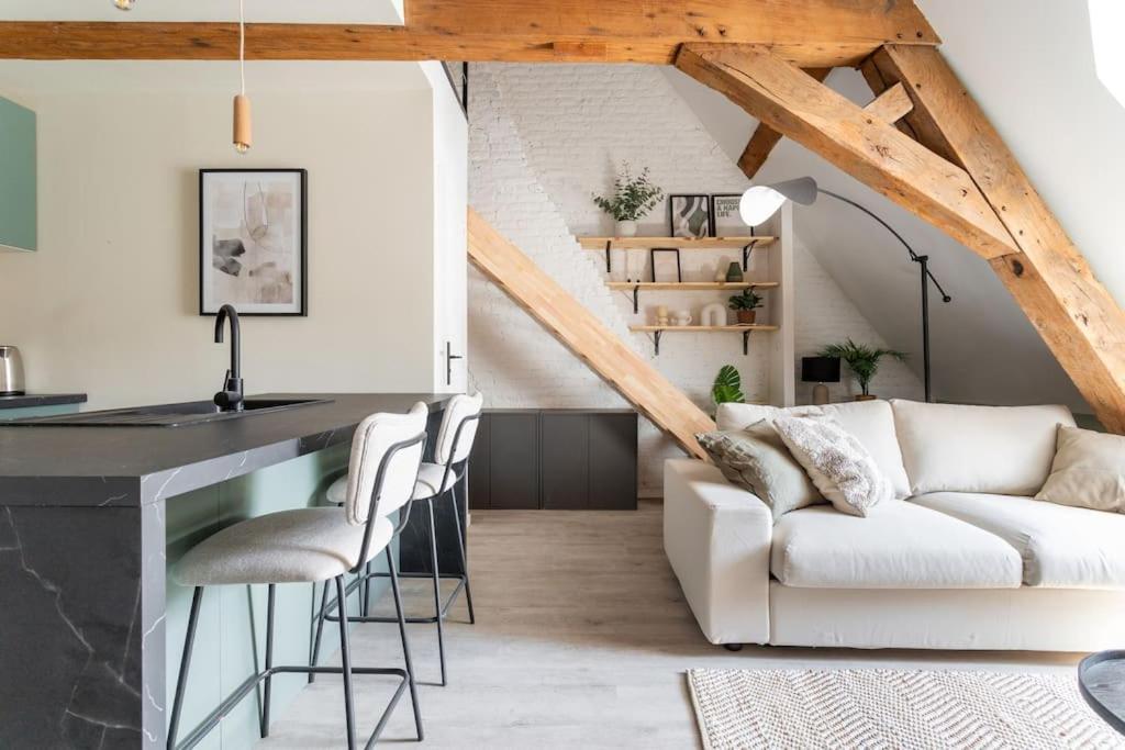 L'Elegant - Appartement Fonctionnel Plein-Centre De Douai Esterno foto